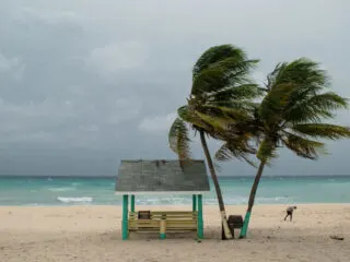 Hurricane Javier Set To Cause Storms In Los Cabos This Week
