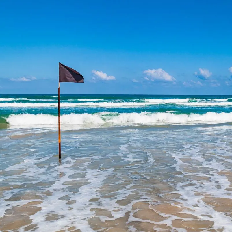 Black Flag on Los Cabos Beach