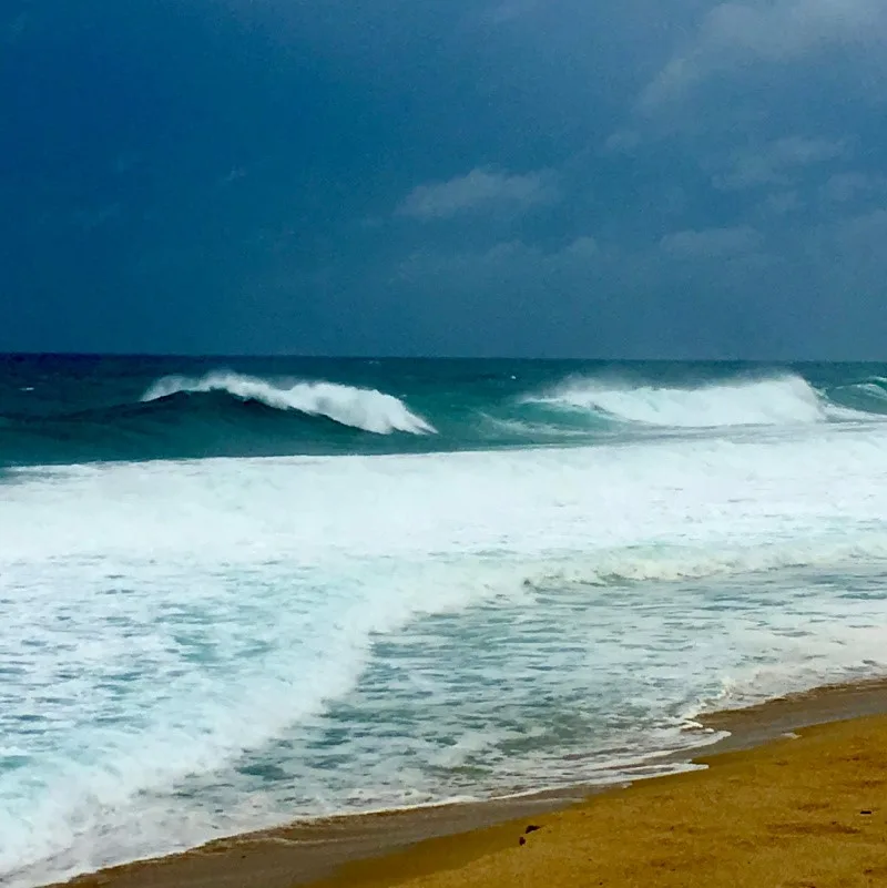 waves in Cabo