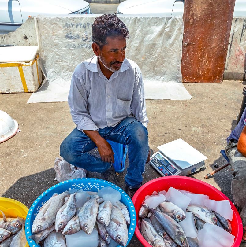 Fresh Fish Sold On The Street