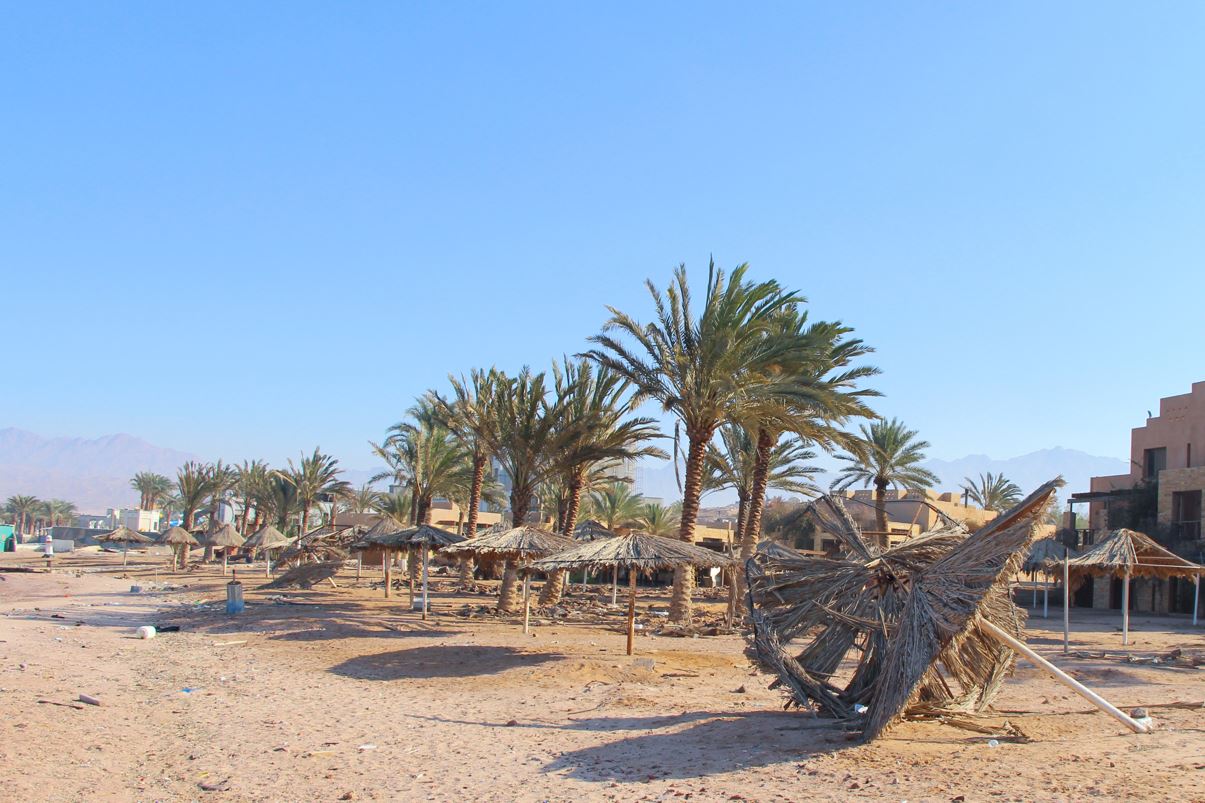 Los Cabos Begins Clean Up And Repairs After Hurricane Kay - The Cabo Sun