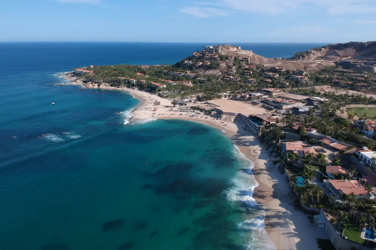 Palmilla Beach in Los Cabos with trees and resorts in the background.