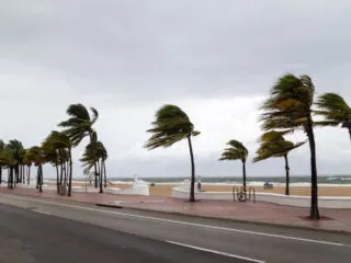 Los Cabos Begins To shut Down In Preparation For Tropical Storm Javier