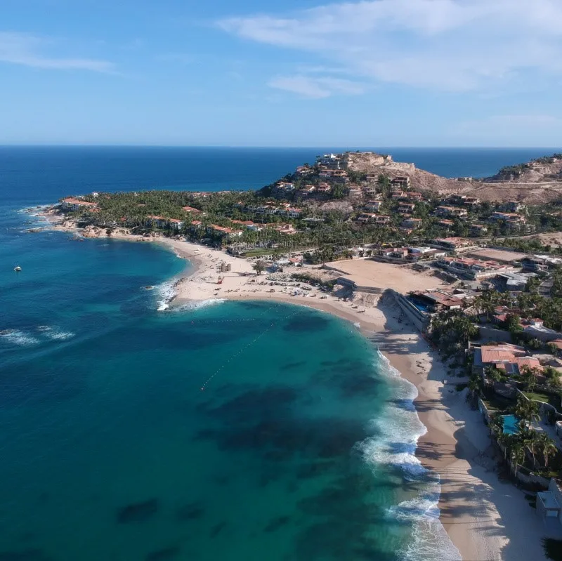 Palmilla Beach in Los Cabos with trees and resorts in the background.