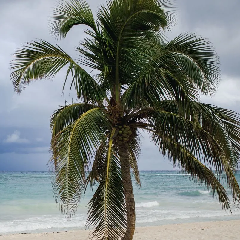 Storm Headed Towards Los Cabos