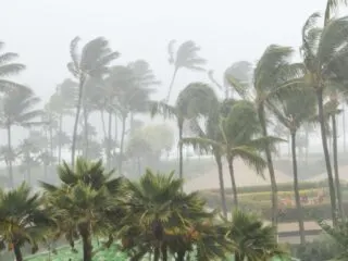 Two Hurricanes In One Week Affect Over 30,000 Tourists In Los Cabos
