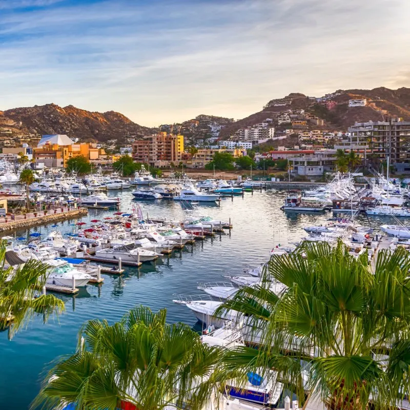 Cabo Marina Los Cabos