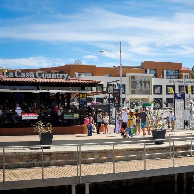 Cabo Tourists los cabos