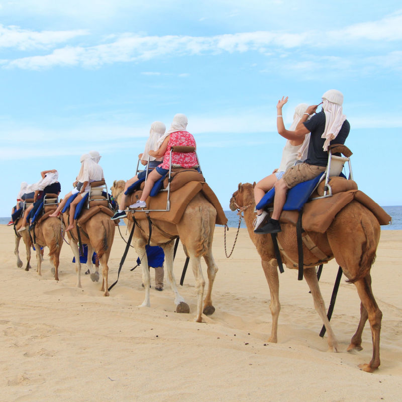 Camel Riding Cabo