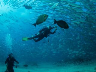 Los Cabos Diving Spot Rated One Of The Best In North America By Forbes