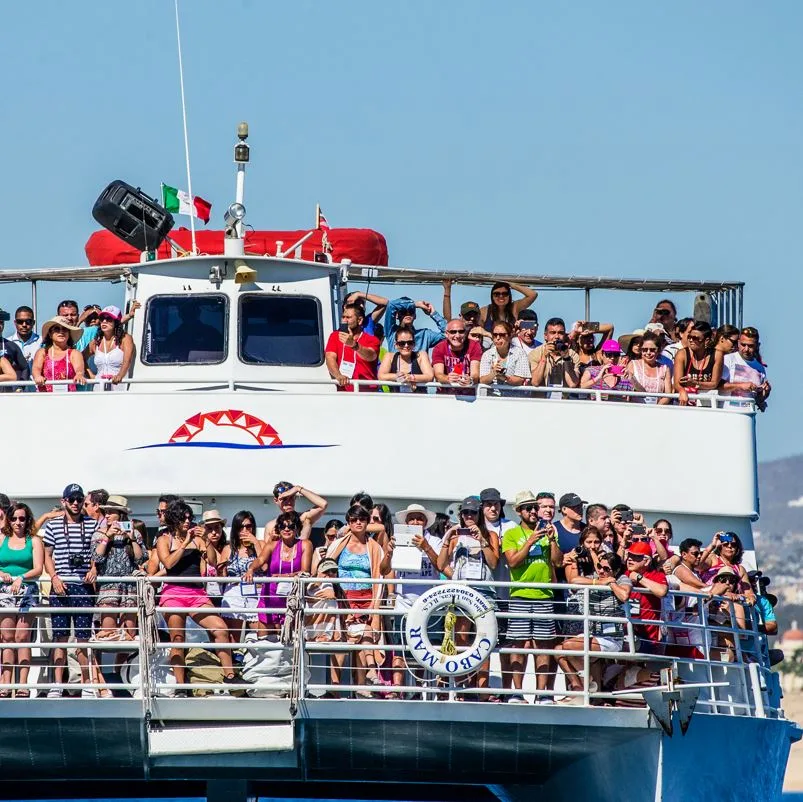 Many Tourists On A Whale Watching Boat Los Cabos