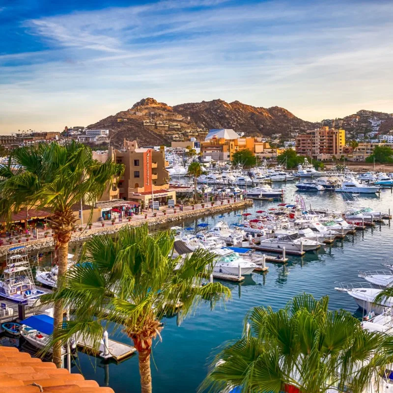 Cabo Aerial View of marina with boats in slips