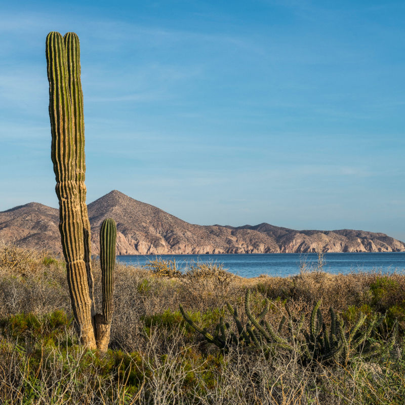 Baja California Sur outdoors nature mountains