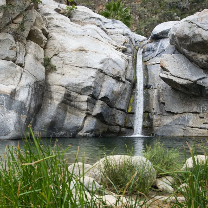 Zorra Canyon Los Cabos