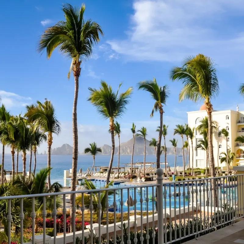 Cabo Resort wiht palm trees and ocean in background