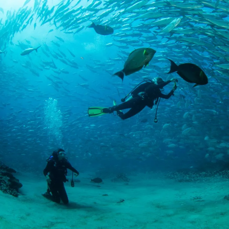 Cabo Snorkeling