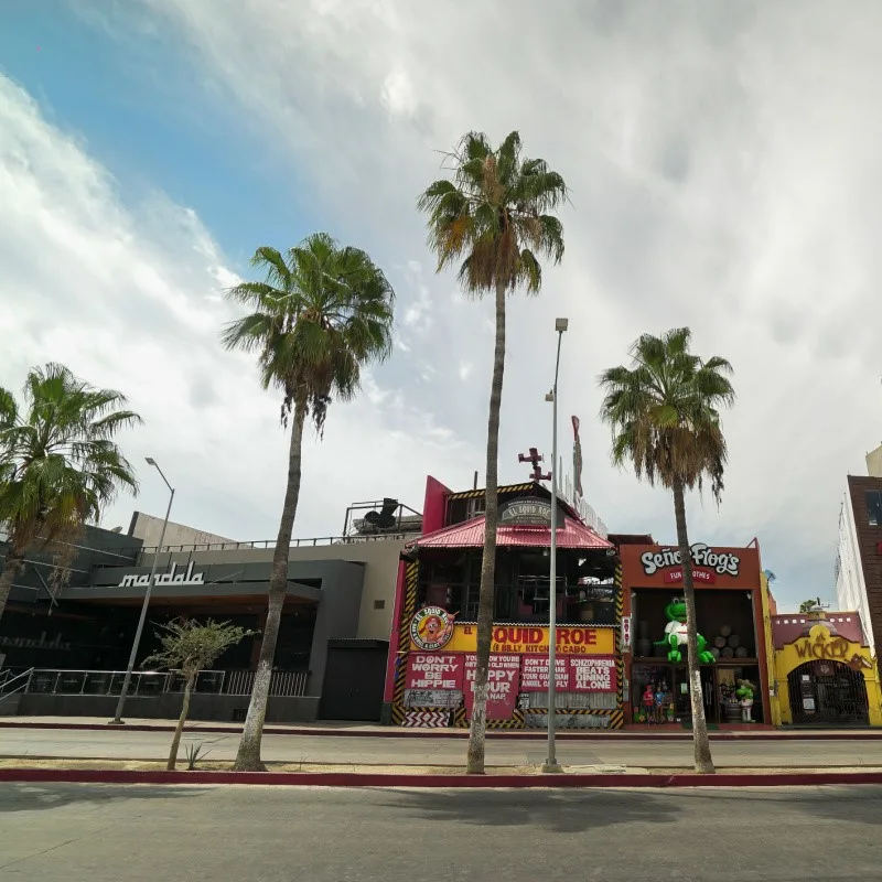 Downtown Cabo San Lucas with Mandala, Senor Frogs, and Squid Row signs in the background.