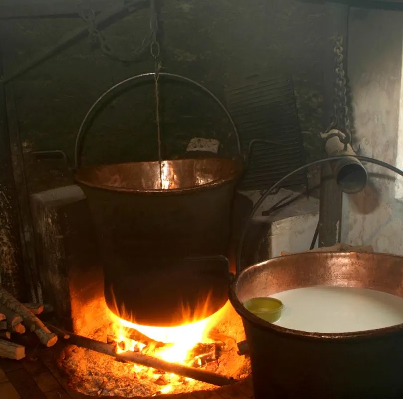 Large Pots To Make Cheese