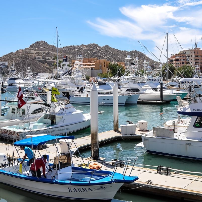 Panga Boat In Los Cabos Marina
