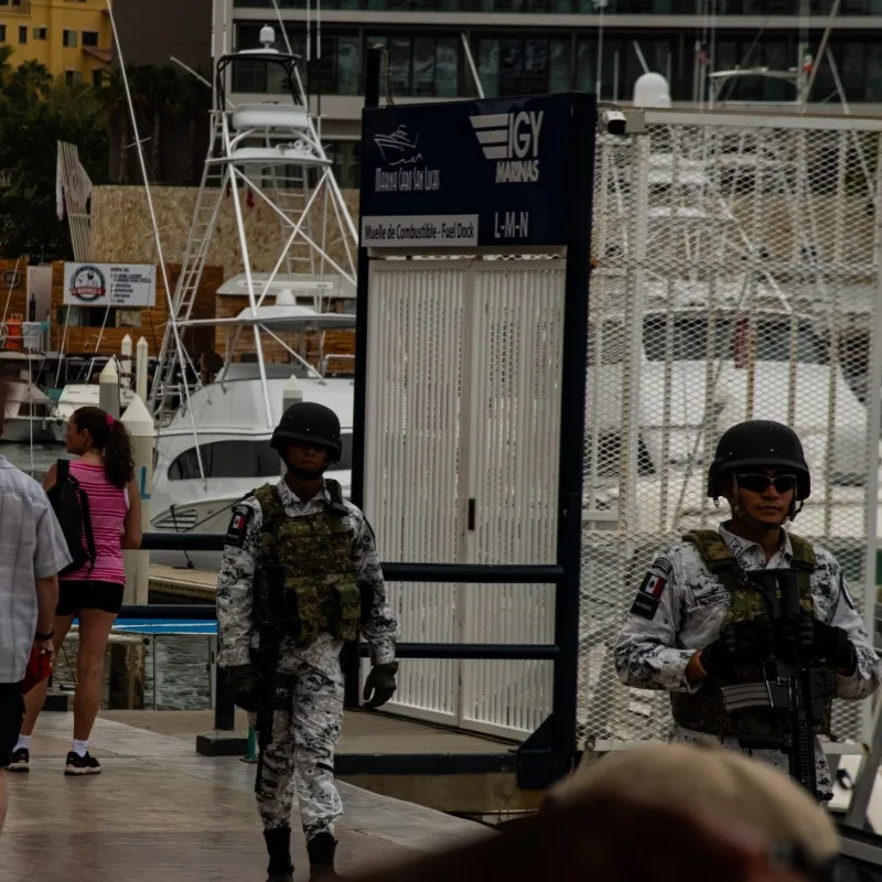 Small Guards at Marina