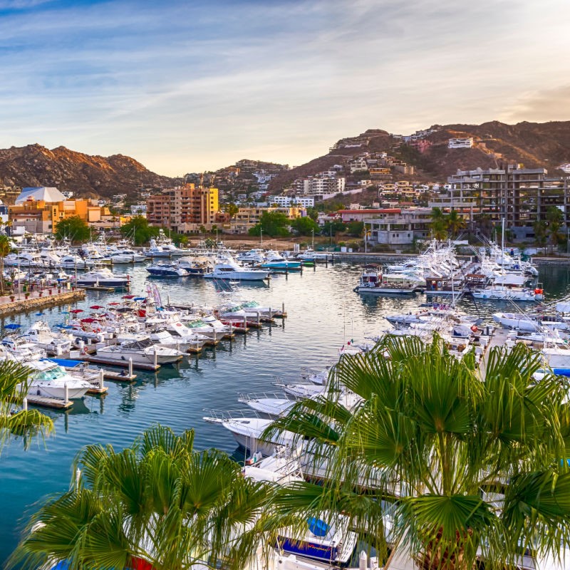 Cabo San Lucas Marina at sundown with boats in the marina, hills in the background, and palm trees.