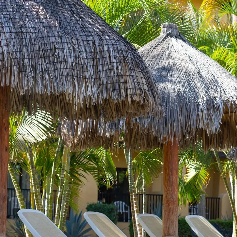 Pool Area At A Cabo Resort