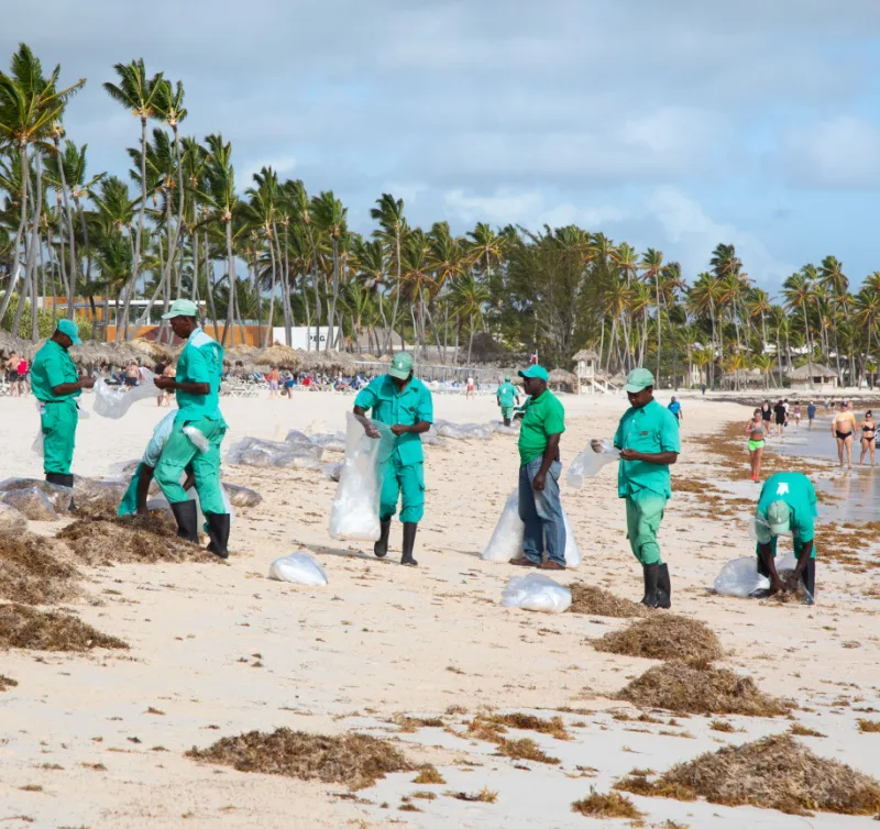 People cleaning the beaches in Punta Cana Dominican Republic