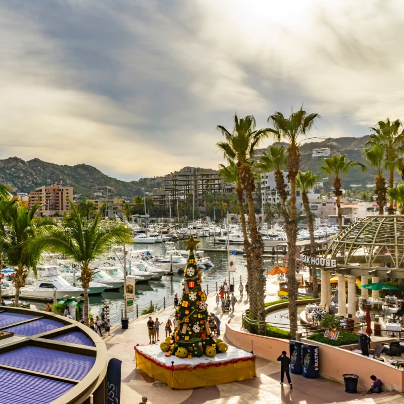 Small Cabo Marina at Christmas Time with a Christmas tree, palm trees, and people walking around the marina that has boats in the water.