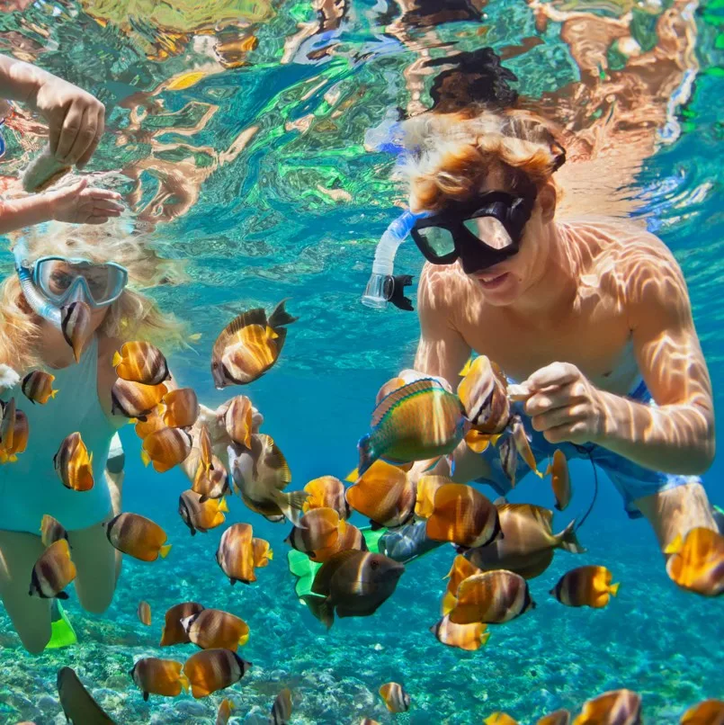 couple snorkeling with fish