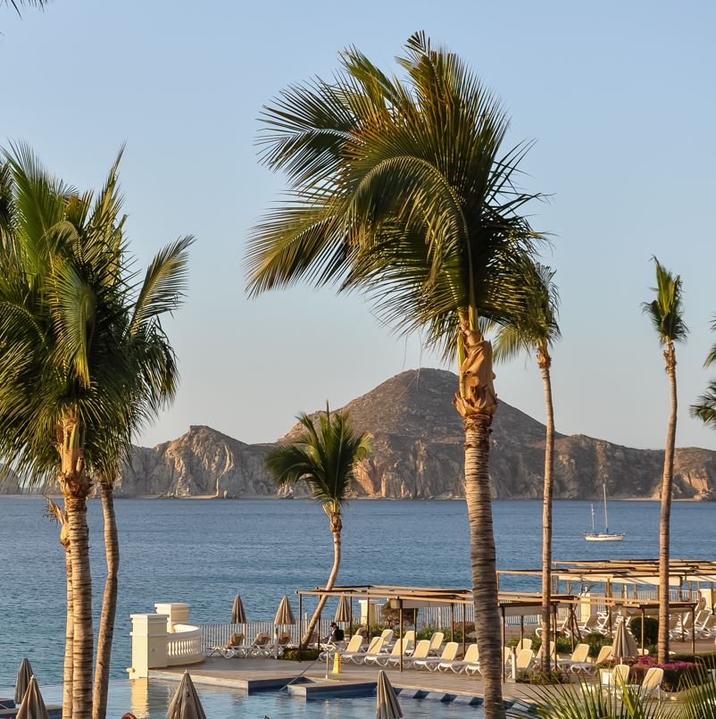 View of Los Cabos Resort looking out at the ocean with palm trees