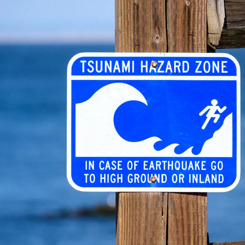Warning sign for earthquake zone on beach saying go to higher ground