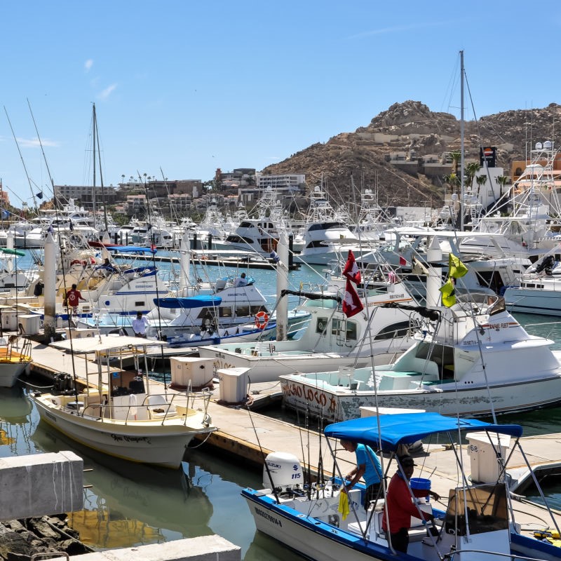 Boats of All Types in the Cabo San Lucas Marina