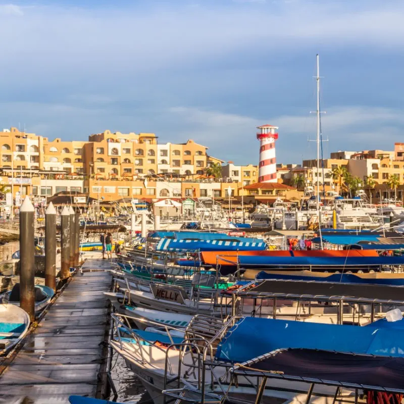 Tourists Walking Around the Marina in San Jose del Cabo