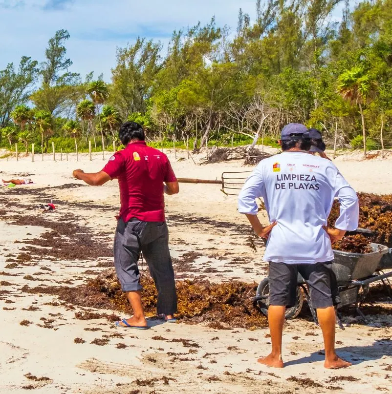 Zofemat staff cleaning a beach