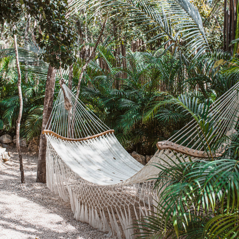 Rope hammock in a jungle spa