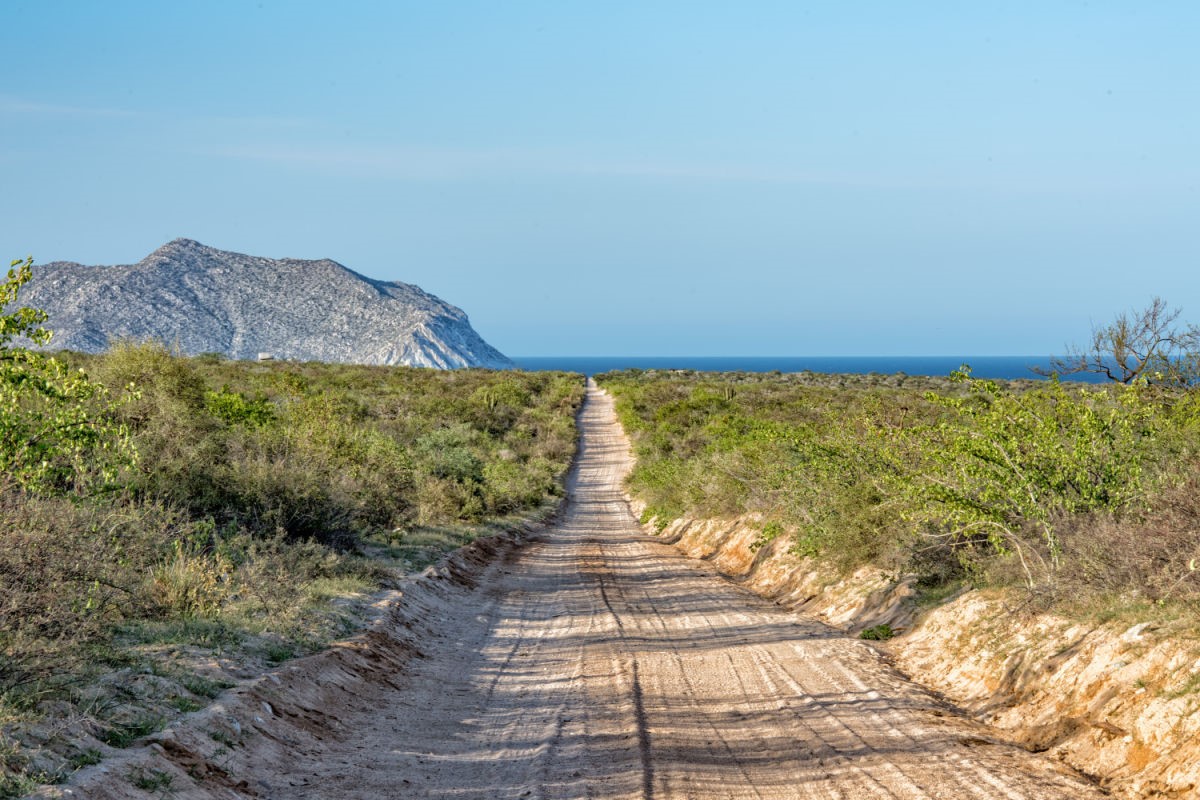These Top 5 Los Cabos Hiking Trails Are Perfect For A Day Off The Resort