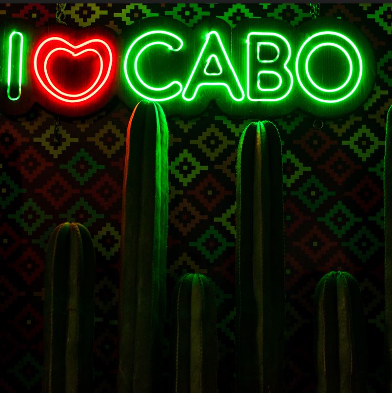 Neon Lights At A Cabo Nightclub