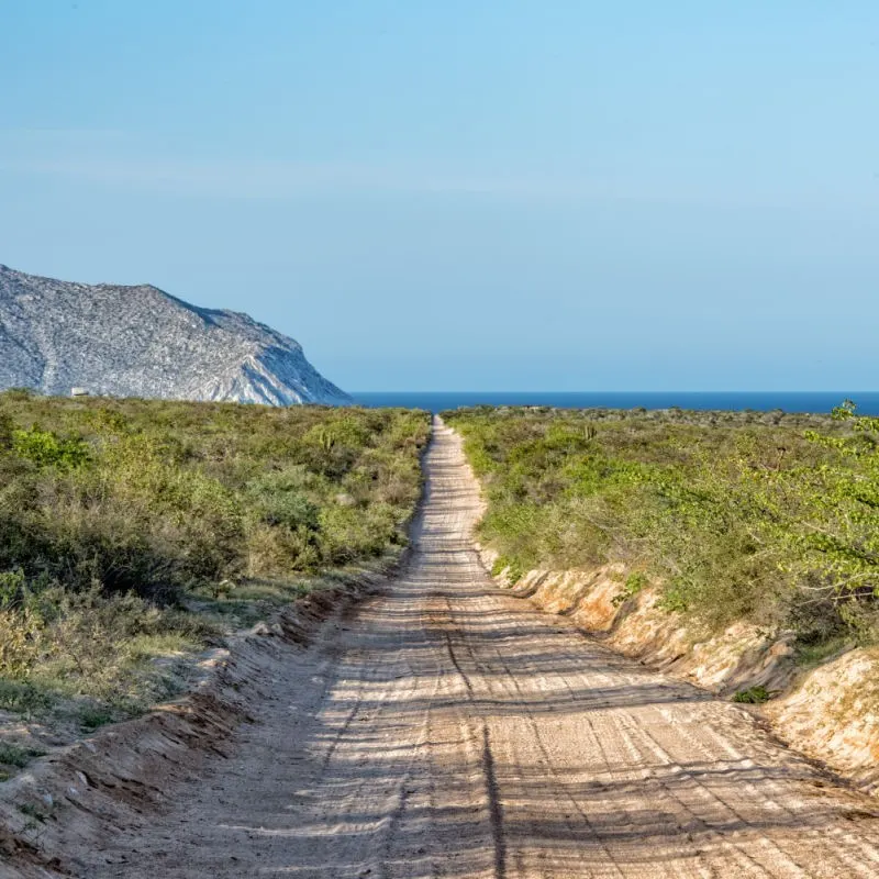 Hiking Trail with Sea Views at Cabo Pulmo National Park