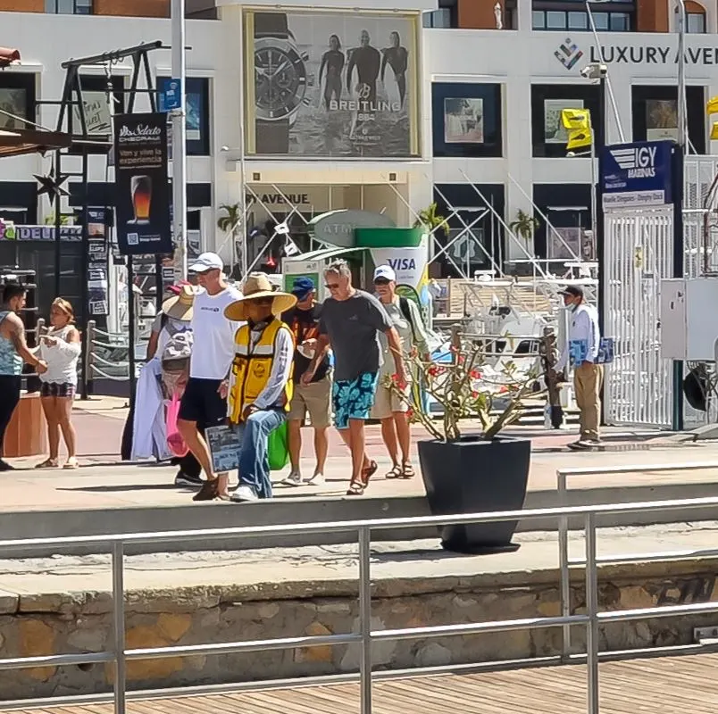 Tourists In The Los Cabos Marina