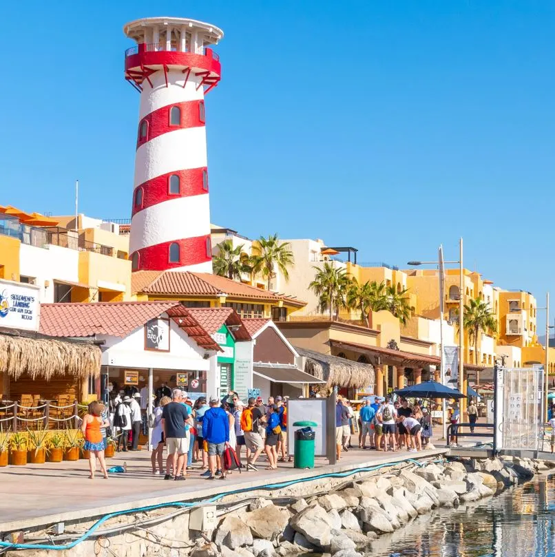 View Of The Los Cabos Marina Filled With People