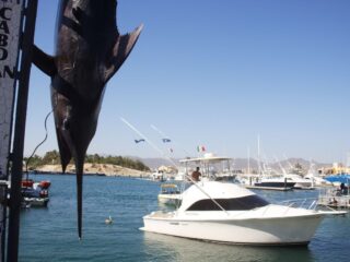 Why This Year Will Cement Los Cabos As The Sportfishing Capital Of The World