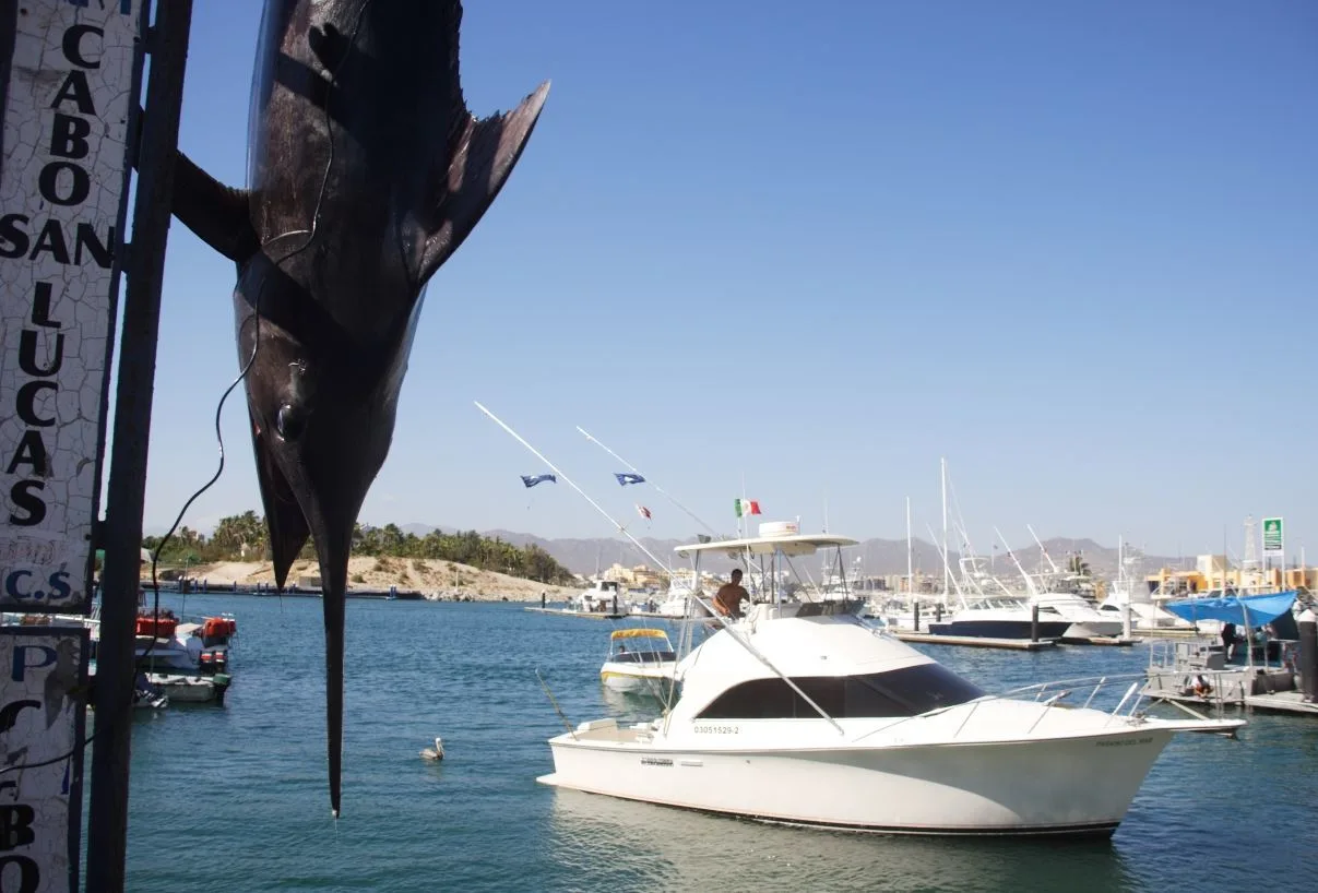 Why This Year Will Cement Los Cabos As The Sportfishing Capital Of The World