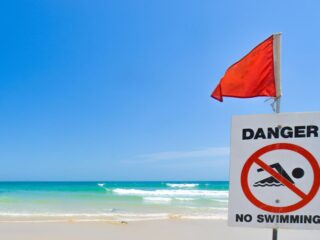 Los Cabos Beaches Deploy Red Flags As High Winds Threaten Safety This Week