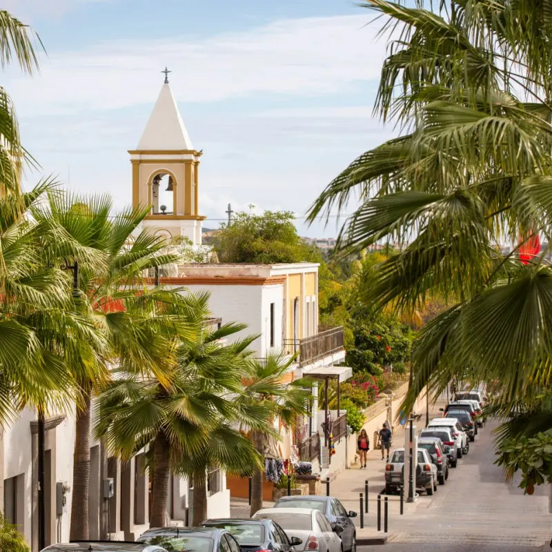 Tourists Walking Down a Beautiful Quiet Street in San Jose del Cabo, Mexico