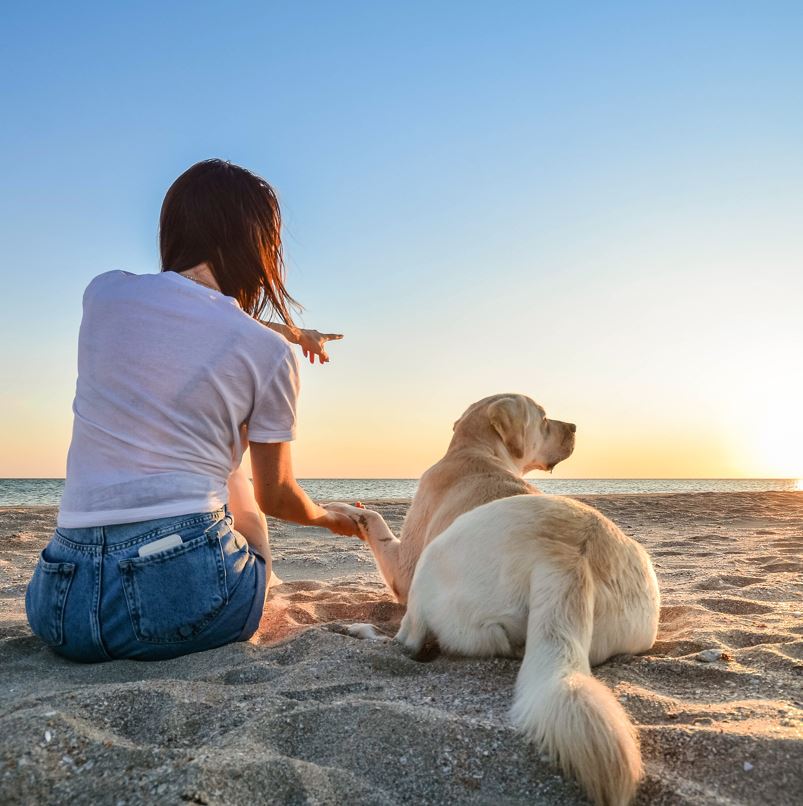 Woman with a dog on a beach full of sea shells