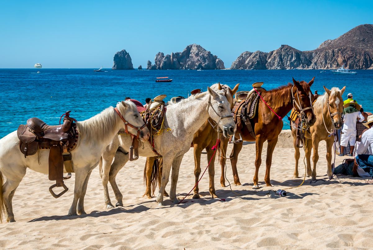 7 FamilyFriendly Wildlife Encounters You Can Have During Your Los