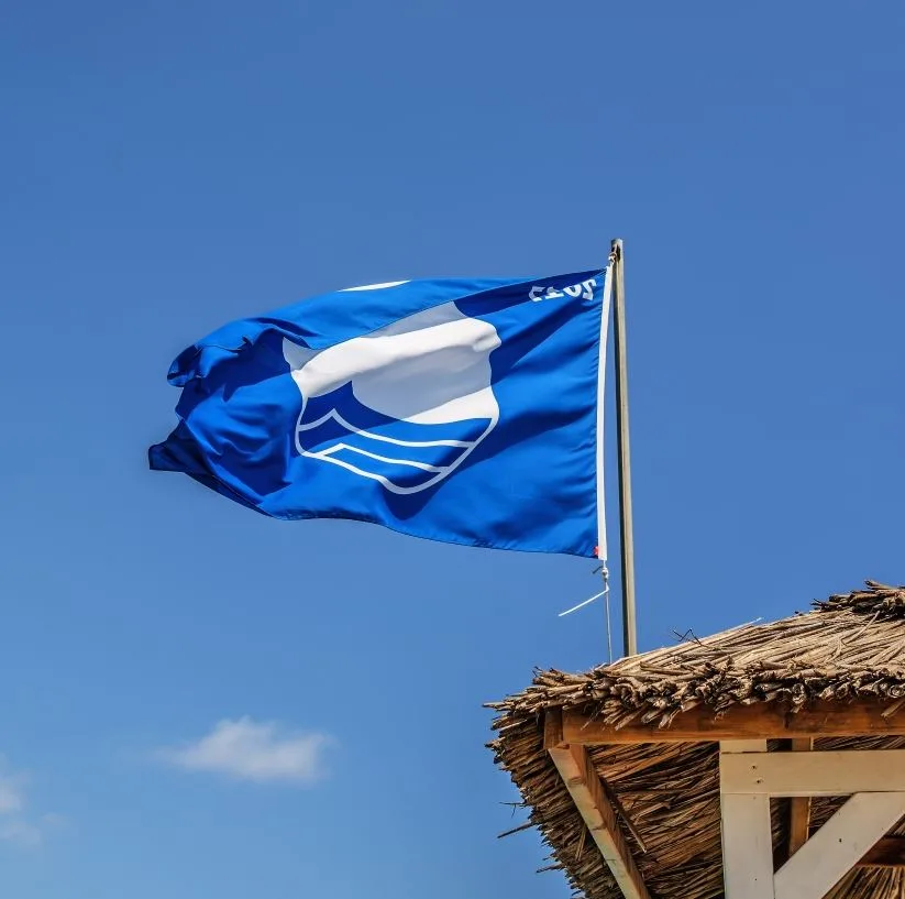 Blue Flag flying on a beach.