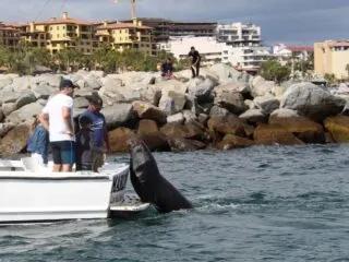 Los Cabos Tourists Love This Local Attraction, But Should Heed Warning Issued By Authorities