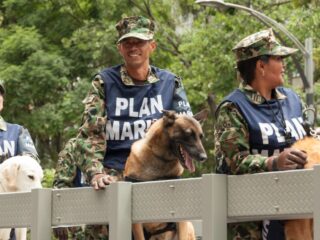 Police dogs in mexico
