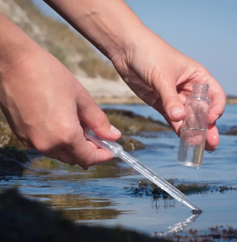 Taking water samples from a tide pool